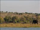 Speedboat Safari through Chobe National Park